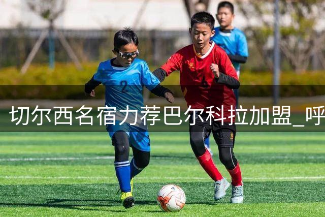 切尔西名宿力荐巴尔科拉加盟 呼吁提升球队稳定性