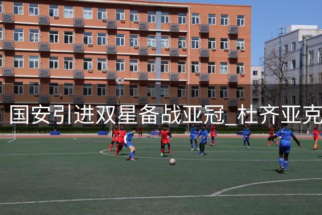 国安引进双星备战亚冠 杜齐亚克搭档阿科洛强势加盟